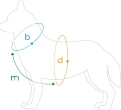 Amiplay Szelki Guard Samba dla psa rozm. L kolor szary