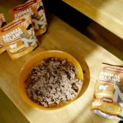 Animal Island Monoproteina Jagnięcina Mokra Karma dla kota op. 100g Pakiet 10szt.