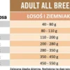 Arion Original Grain Free Salmon&Potato Sucha Karma dla psa op. 2x12kg MEGA-PAK