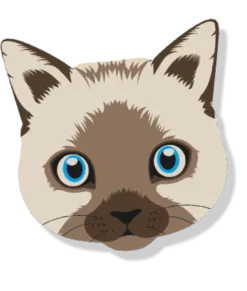 Aroma Car Zapach do Samochodu Real Cats Happy Fragrance op. 1szt.