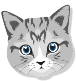 Aroma Car Zapach do Samochodu Real Cats Red Coral op. 1szt.