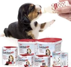 Beaphar Mleko w proszku Lactol Puppy Milk dla szczeniaka op. 250g WYPRZEDAŻ