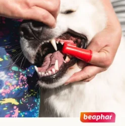 Beaphar Szczoteczka do zębów Finger Toothbrush dla psa i kota op. 2szt.