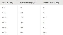 Bozita Original Adult Sensitive Digestion Lamb&Rice Sucha Karma dla psa op. 2x12kg MEGA-PAK