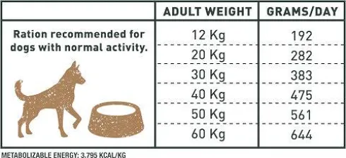 Bravery Adult Medium/Large Iberian Pork Grain Free Sucha karma dla psa op. 12kg + Amity Przysmak op.100g GRATIS