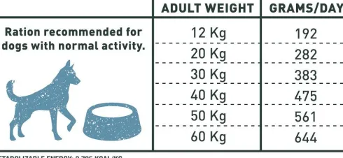 Bravery Adult Medium/Large Salmon Grain Free Sucha karma dla psa op. 12kg + Amity Przysmak op.100g GRATIS