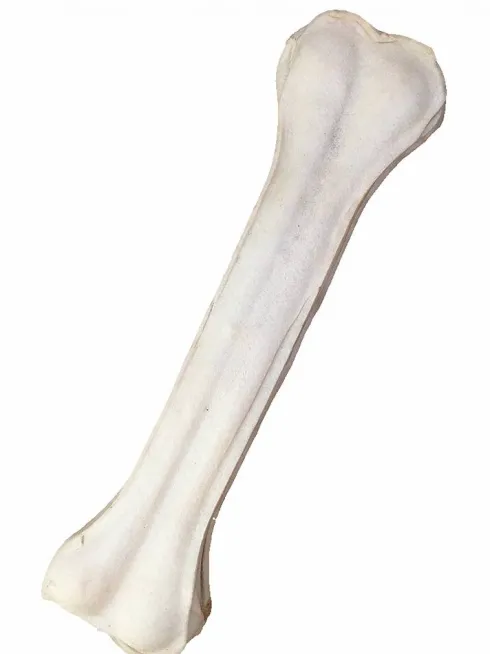 Bravo (PetsUp) Kość prasowana mięta dla psa dł. 25cm