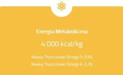 Brit Care Cat Grain-Free Kitten Sucha Karma dla kociąt op. 7kg