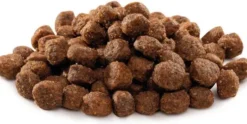 Brit Premium by Nature Adult Large Sucha Karma dla psa op. 15kg
