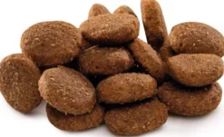 Brit Premium by Nature Junior Extra Large Sucha Karma dla szczeniaka op. 15kg