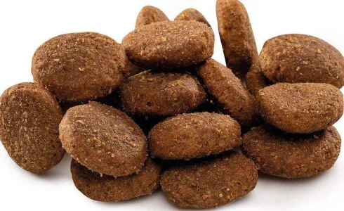 Brit Premium by Nature Junior Extra Large Sucha Karma dla szczeniaka op. 2x15kg MEGA-PAK