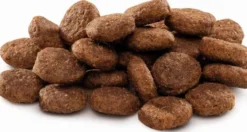 Brit Premium by Nature Junior Large Breed Sucha Karma dla szczeniaka op. 15kg