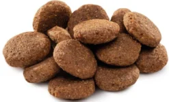 Brit Premium by Nature Senior Large&Extra Large Sucha Karma dla psa op. 2x15kg MEGA-PAK