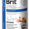 Brit Veterinary Diet Recovery Salmon Mokra Karma dla psa i kota op. 400g