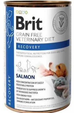 Brit Veterinary Diet Recovery Salmon Mokra Karma dla psa i kota op. 400g