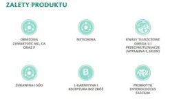 Brit Veterinary Diet Struvite Egg&Pea Sucha Karma dla psa op. 12kg