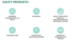 Brit Veterinary Diet Struvite Turkey&Pea Mokra Karma dla kota op. 200g Pakiet 6szt.