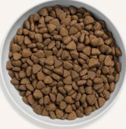 Canagan Cat Country Game Sucha Karma dla kota op. 375g