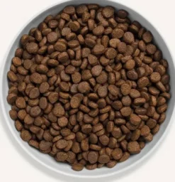 Canagan Cat Free Range Chicken Sucha Karma dla kota op. 4kg
