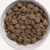 Canagan Grass-Fed Lamb Sucha Karma dla psa op. 6kg