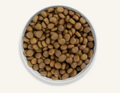 Canagan Highland Feast Sucha Karma dla psa op. 2kg