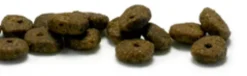 Canagan Small Breed Scottish Salmon Sucha Karma dla psa op. 2kg