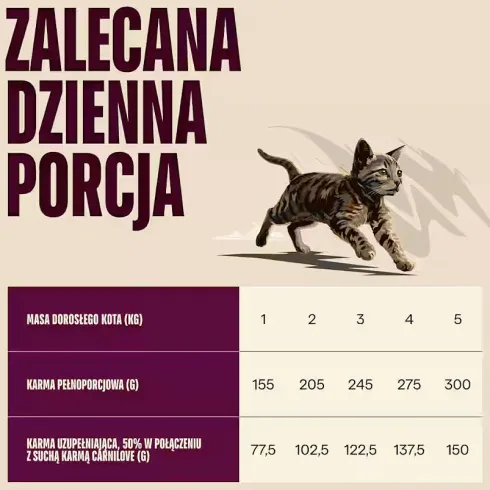Carnilove Cat Kitten Turkey&Salmon Pate Mokra Karma dla kociąt op. 100g Pakiet 12szt.