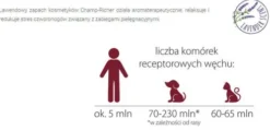 Champ-Richer Profesjonalny Szampon dla psa dorosłego rasy Shih Tzu poj. 250ml