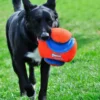 Chuck It Piłka Kick Fetch dla psa rozm. L nr kat. 251201 WYPRZEDAŻ