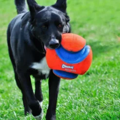 Chuck It Piłka Kick Fetch dla psa rozm. L nr kat. 251201 WYPRZEDAŻ