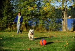 Chuck It Piłka Kick Fetch dla psa rozm. L nr kat. 251201 WYPRZEDAŻ