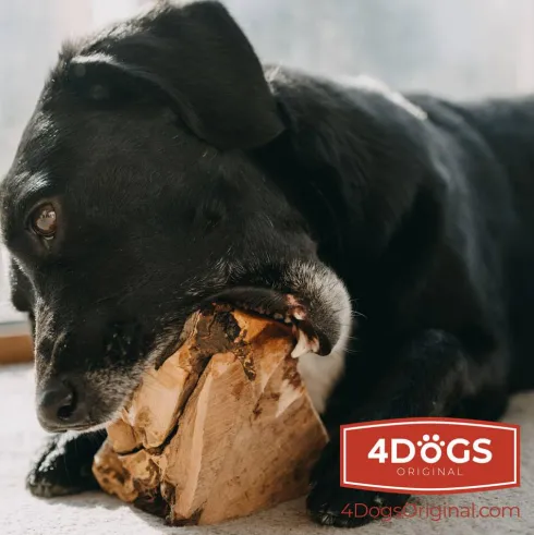 4 Dogs Original Gryzak z korzenia wrzośca dla psa rozm. L