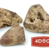 4 Dogs Original Gryzak z korzenia wrzośca dla psa rozm. M WYPRZEDAŻ