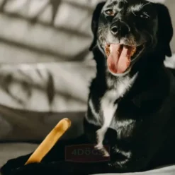 4 Dogs Original Przysmak Ser Himalajski dla psa rozm. XXL op. 1szt.