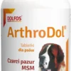 Dolfos Preparat na stawy ArthroDol dla psa op. 90 tabletek