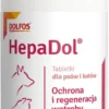 Dolfos Preparat na wątrobę HepaDol dla psa i kota op. 60 tabletek