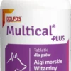 Dolfos Preparat witaminowy Multical Plus DOG dla psa op. 90 tabletek
