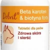 Dolvit Preparat na skórę i sierść Beta Karoten&Biotyna Forte dla psa op. 90 tabletek