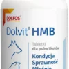 Dolvit Preparat wspomagający mięśnie HMB dla psa i kota op. 90 tabletek