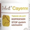 Dolvit Preparat zniechęcający do zjadania odchodów Cayenne dla psa op. 90 tabletek