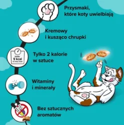 Dreamies Mix Przysmak z serem i o smaku łososia dla kota op. 60g