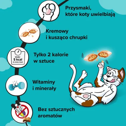 Dreamies Mix Przysmak z serem i o smaku łososia dla kota op. 60g
