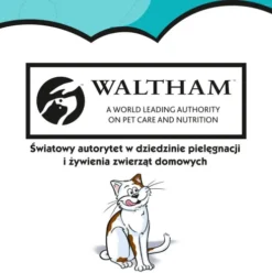 Dreamies Mix Przysmak z serem i o smaku łososia dla kota op. 60g Pakiet 6szt.