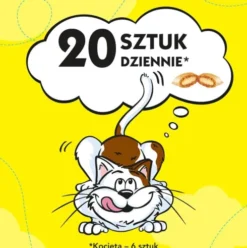Dreamies Przysmak Mega Pudełko Pyszny Ser dla kota op. 350g Pakiet 2szt.