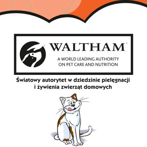 Dreamies Przysmak Pyszny Kurczak dla kota op. 60g