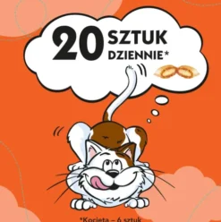 Dreamies Przysmak Pyszny Kurczak dla kota op. 180g [Data ważności: 17.04.2027]