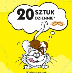 Dreamies Przysmak Pyszny Ser dla kota op. 180g [Data ważności: 27.02.2027]