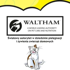 Dreamies Przysmak Pyszny Ser dla kota op. 60g