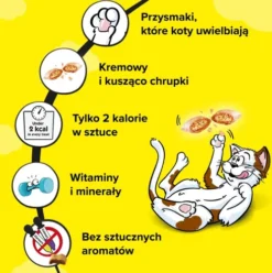 Dreamies Przysmak Pyszny Ser dla kota op. 60g PAKIET 6szt.