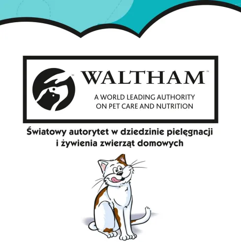Dreamies Przysmak Wyborny Łosoś dla kota op. 60g PAKIET 6szt.